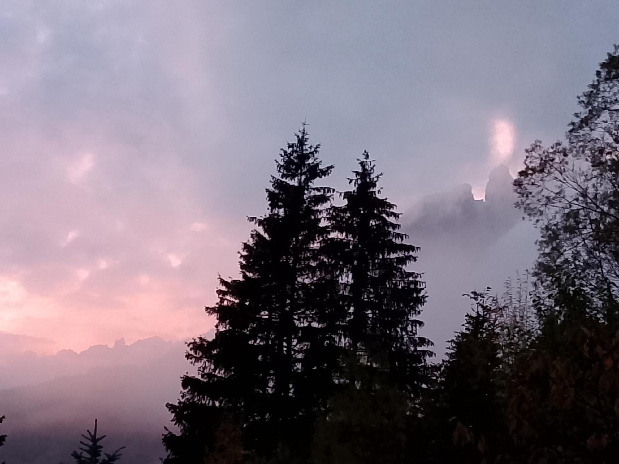 Appartamento Niki Campitello Campitello di Fassa Buitenkant foto