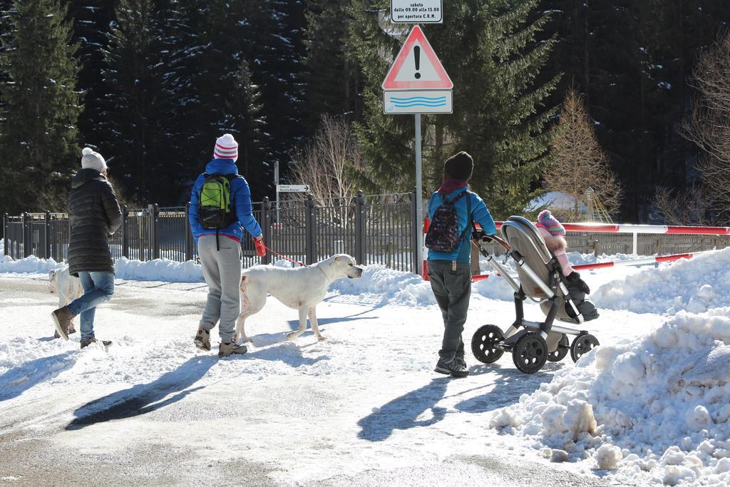 Appartamento Niki Campitello Campitello di Fassa Buitenkant foto