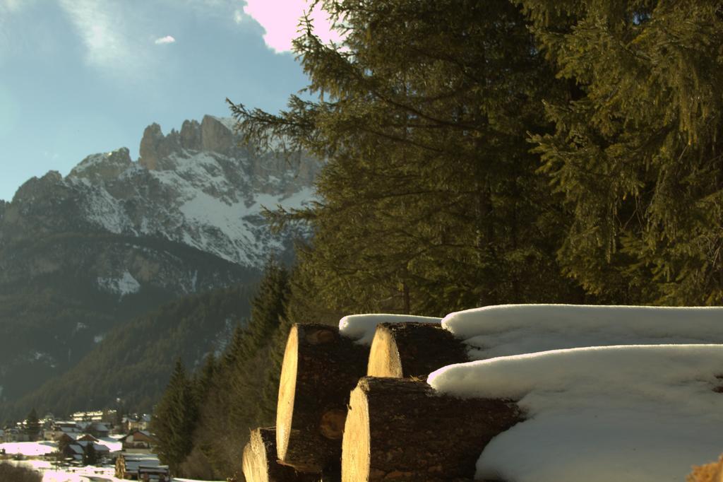 Appartamento Niki Campitello Campitello di Fassa Buitenkant foto